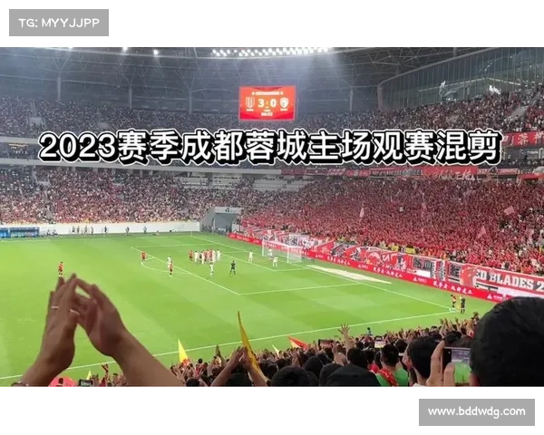 成都蓉城开启宠物开放日 球迷可携爱犬一同观赛体验足球魅力 成都蓉城开启宠物开放日 球迷可携爱犬一同观赛体验足球魅力