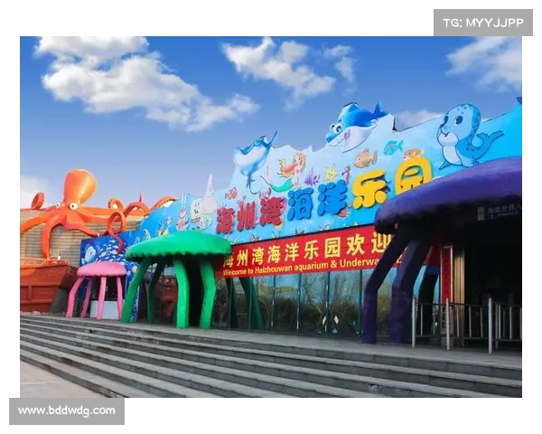 连云港海洋主题球场亮相观众席铺设蓝白波浪图案营造海洋氛围 连云港海洋主题球场亮相观众席铺设蓝白波浪图案营造海洋氛围