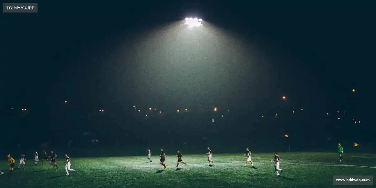 不朽情缘官网——⛵帆船扬帆,驭风破浪!🌊